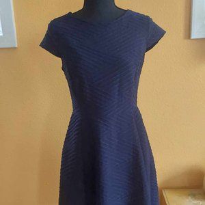 Enfocus Studio Swing Skirt Midi Dress